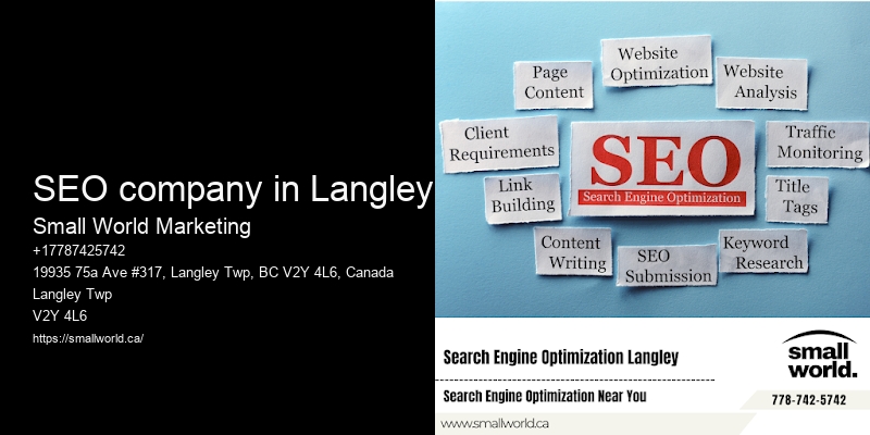 SEO company in Langley