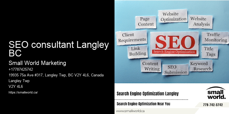 SEO consultant Langley BC