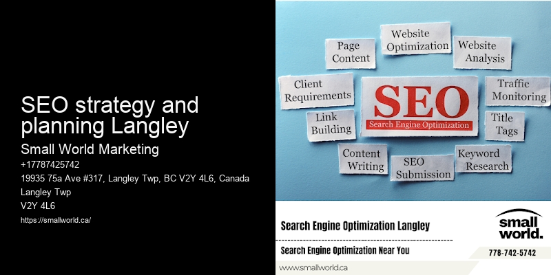 SEO strategy and planning Langley