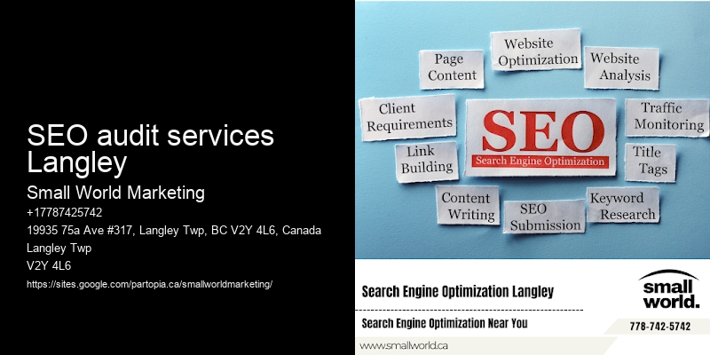 SEO audit services Langley