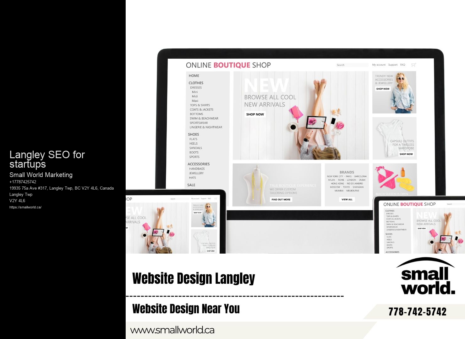 Affordable SEO packages for Langley SEO for startups businesses