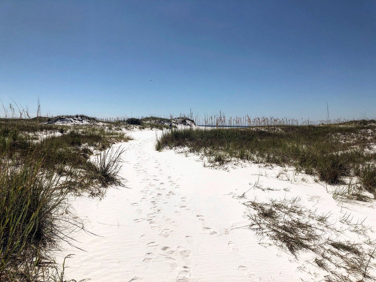 Shell Island Boats Day Visit