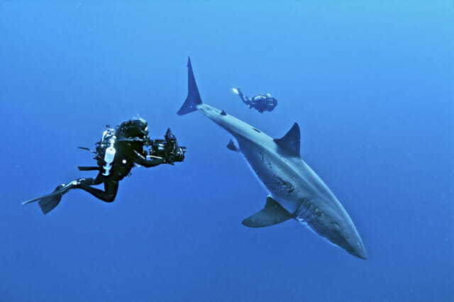 How To Become A Sidemount Technical Scuba Diver Fortnite Skin