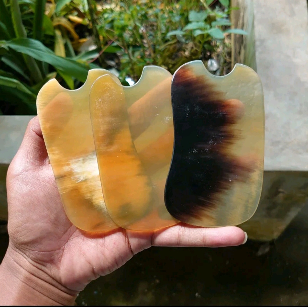 Guasa 
