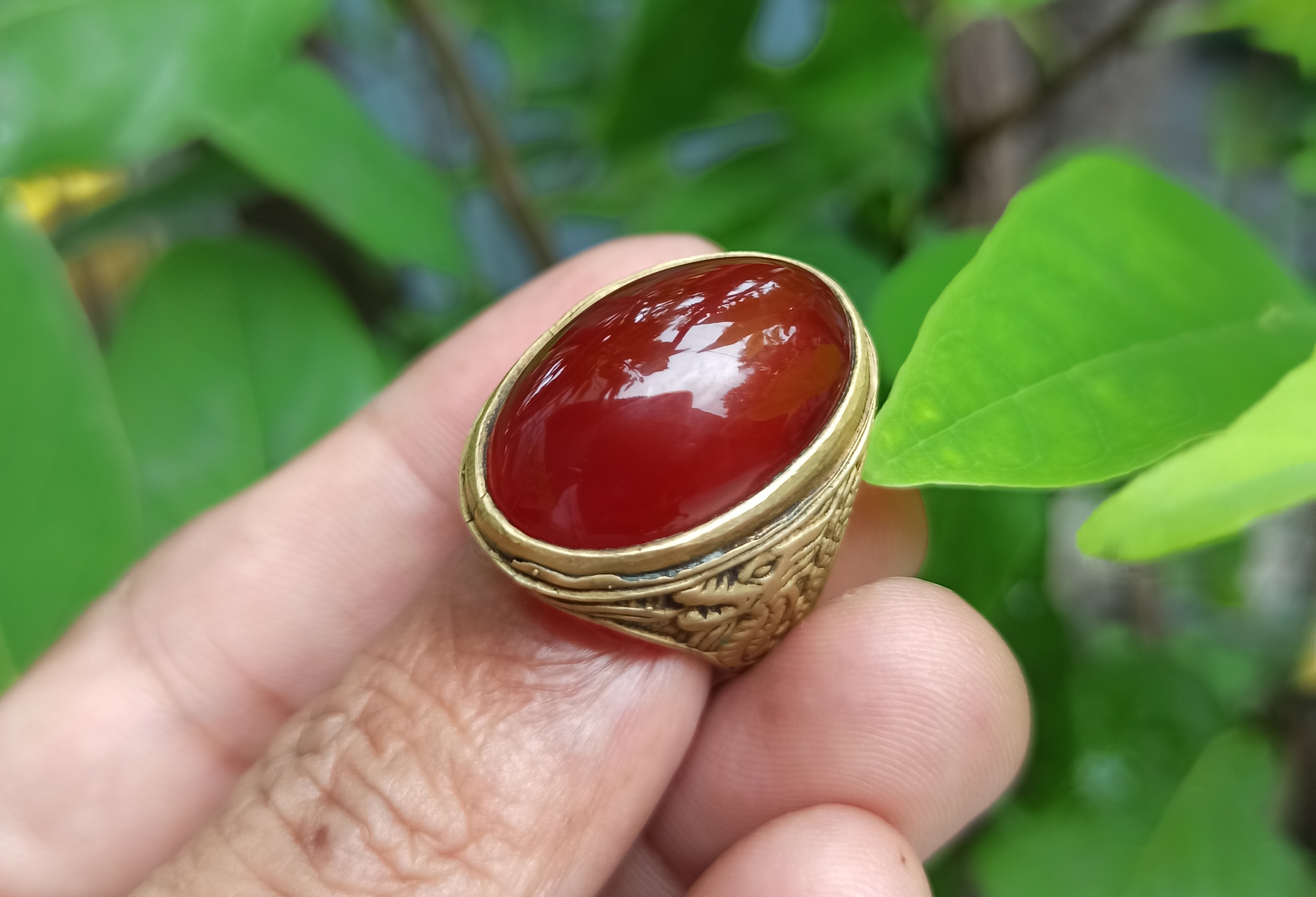 Red Raflesia Bengkulu