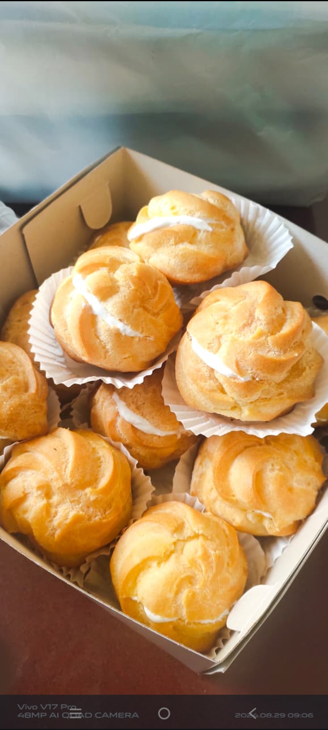 Soes diplomat (1paket isi 6) 