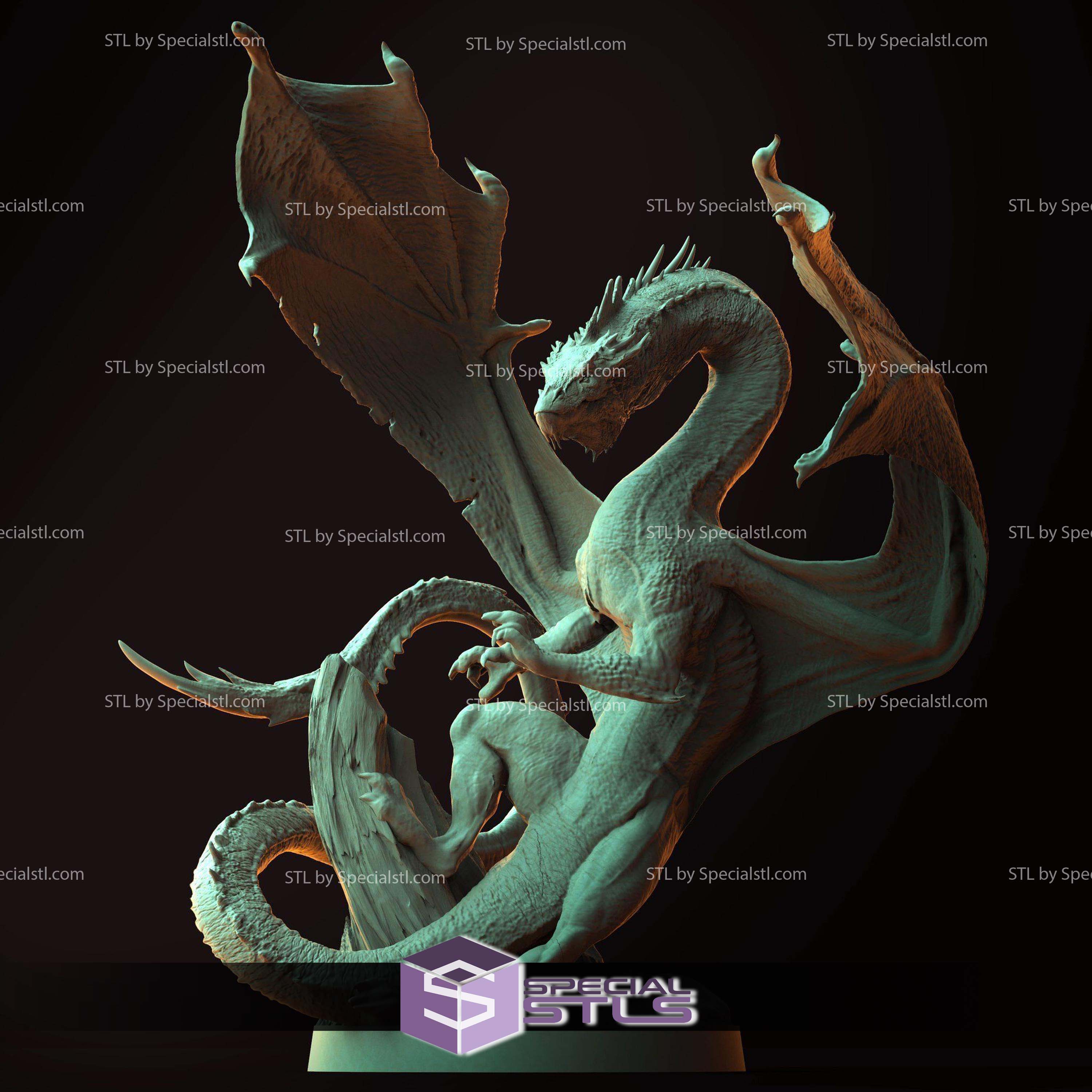 World of Dragons Campaign STL Miniatures