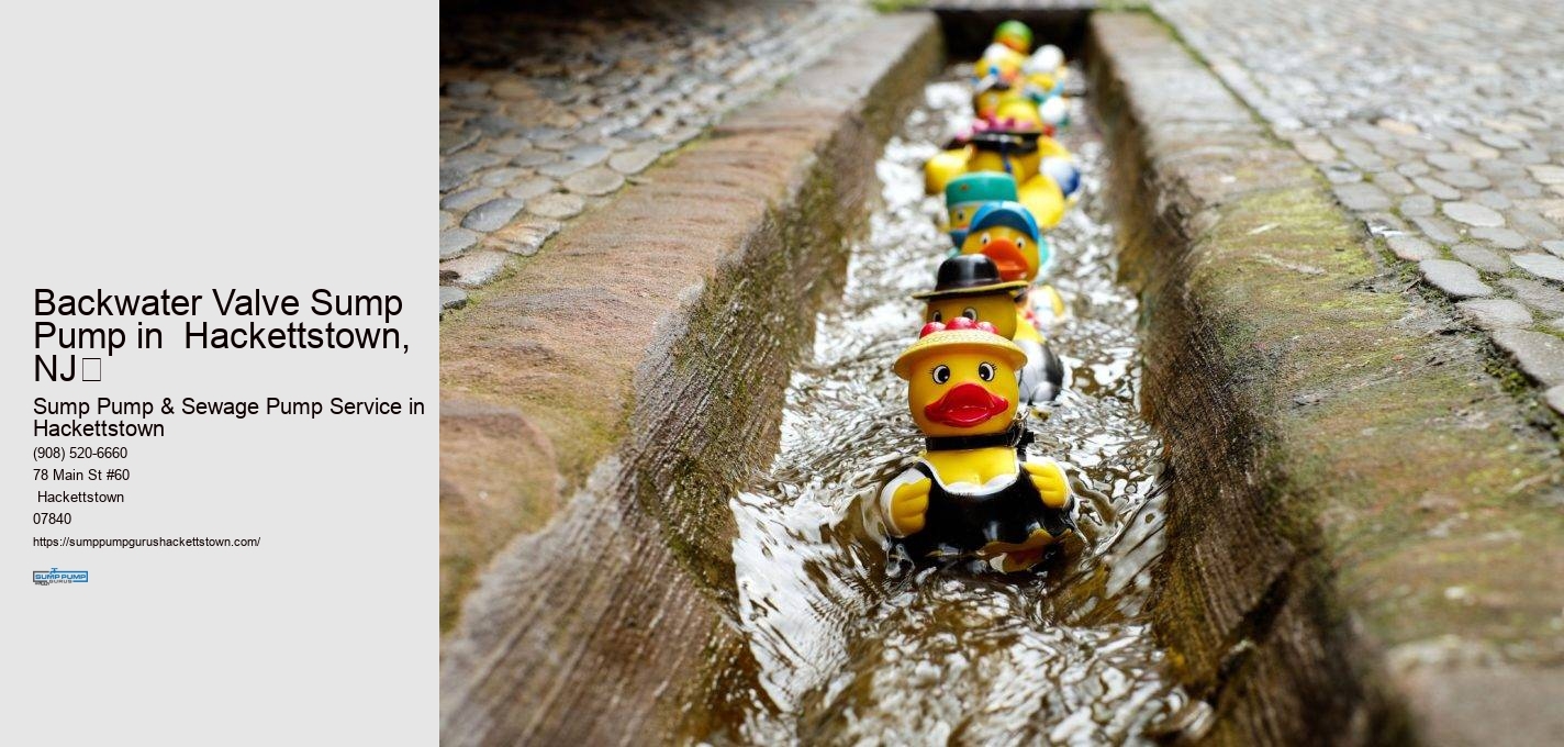 Backwater Valve Sump Pump in  Hackettstown, NJ​