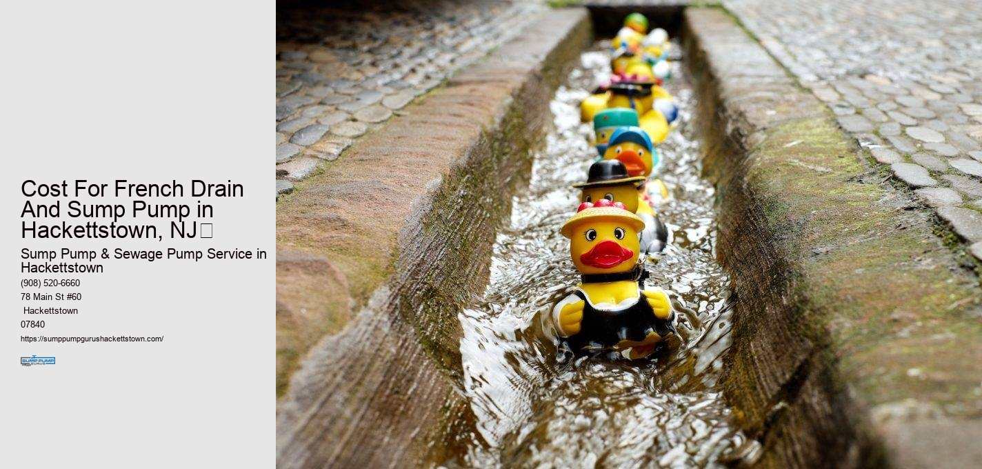 Cost For French Drain And Sump Pump in  Hackettstown, NJ​