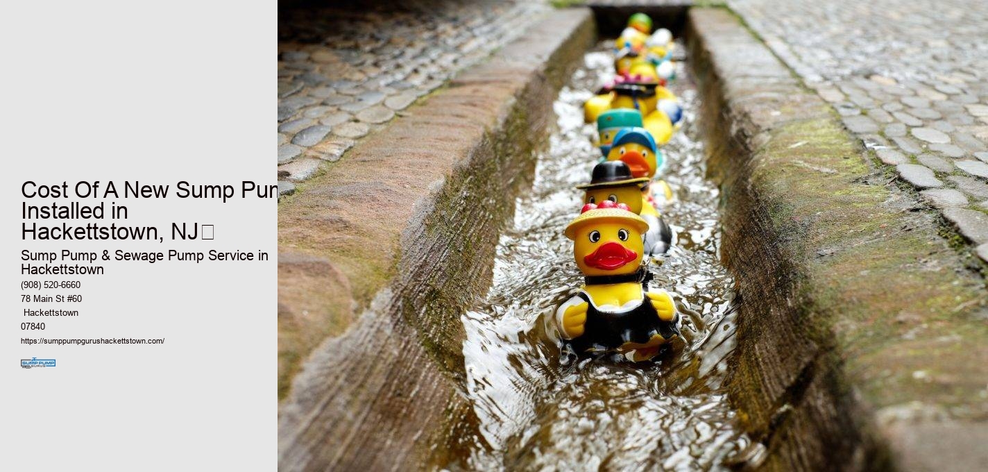 Cost Of A New Sump Pump Installed in  Hackettstown, NJ​