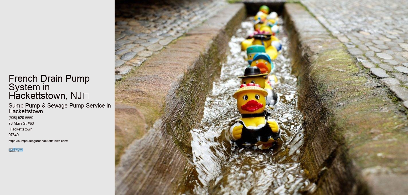 French Drain Pump System in  Hackettstown, NJ​