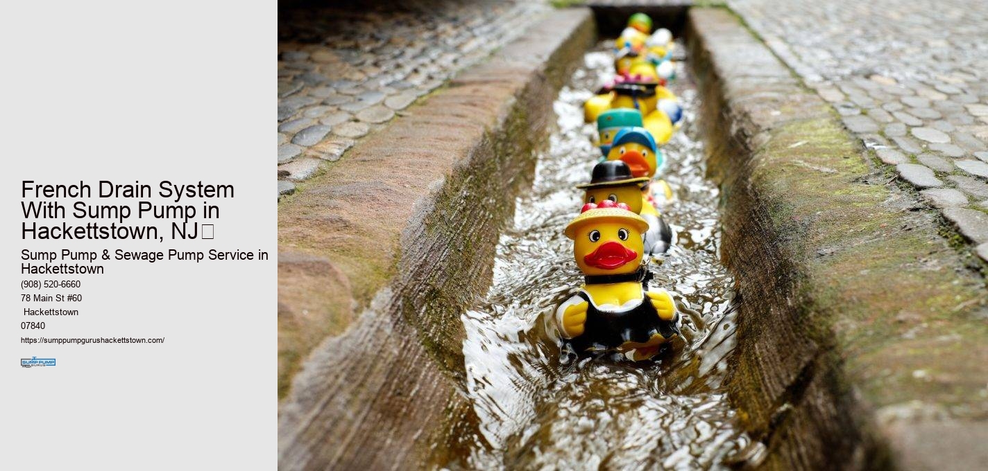 French Drain System With Sump Pump in  Hackettstown, NJ​