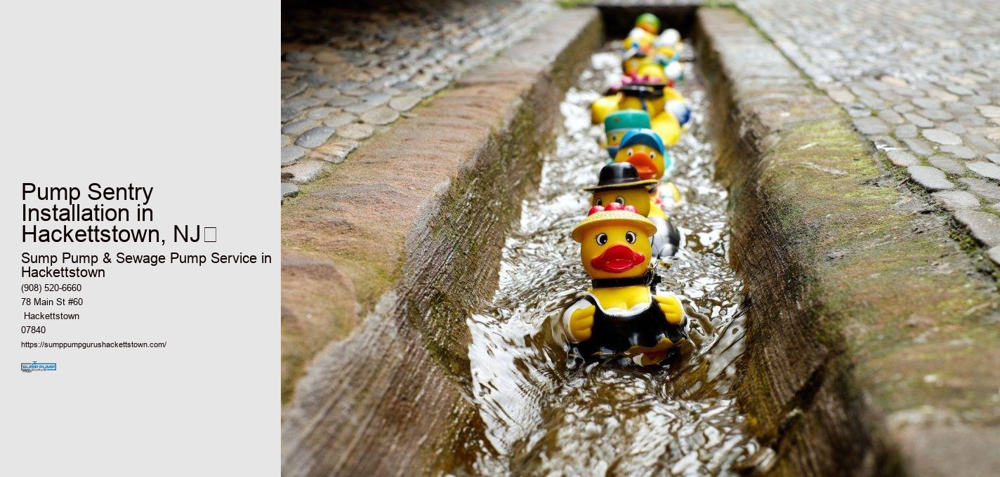 Pump Sentry Installation in  Hackettstown, NJ​