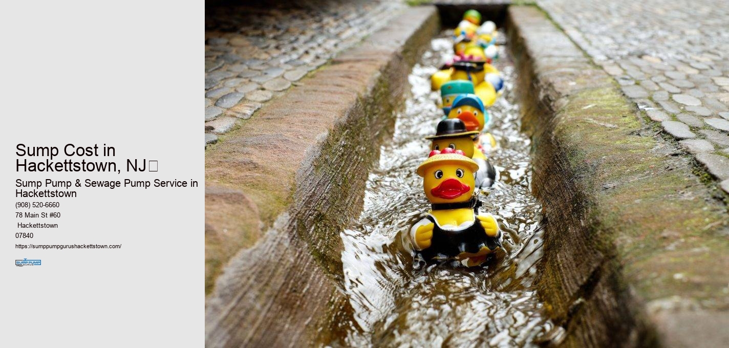 Sump Cost in  Hackettstown, NJ​