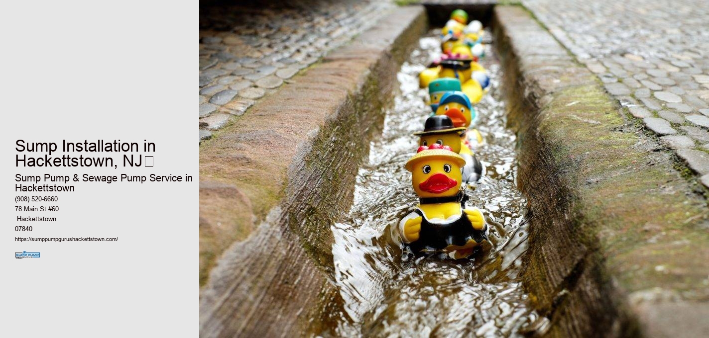 Sump Installation in  Hackettstown, NJ​