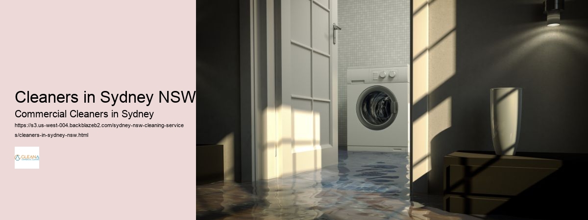 Cleaners in Sydney NSW