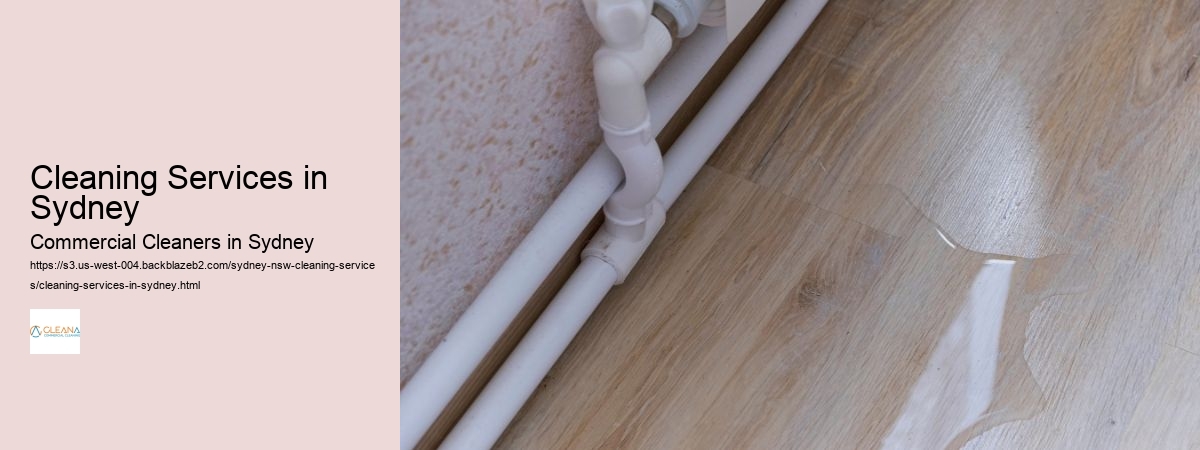 Cleaning Services in Sydney