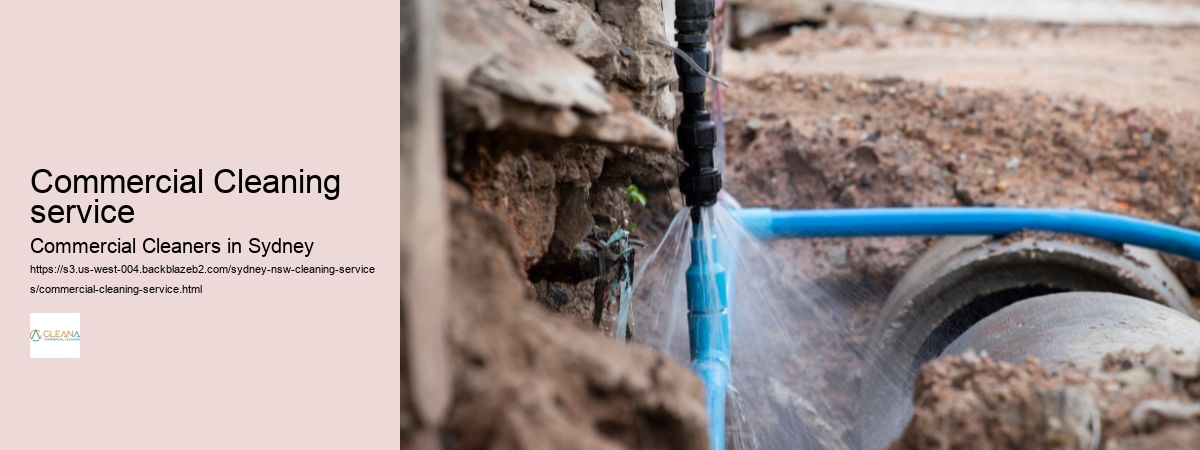 Commercial Cleaning service 