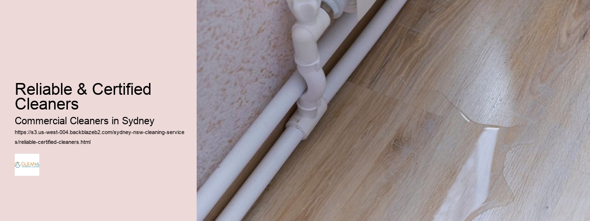 Reliable & Certified Cleaners