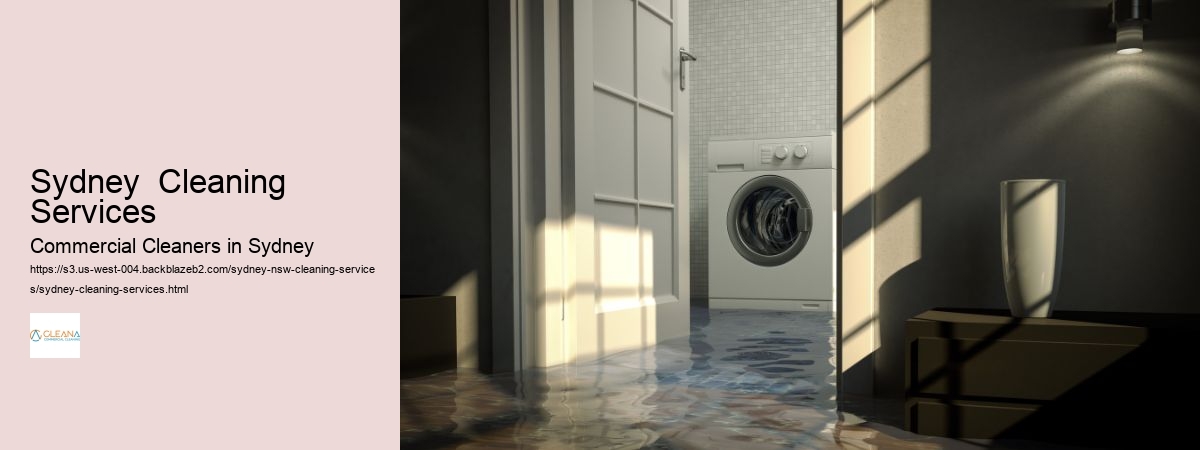 Sydney  Cleaning Services