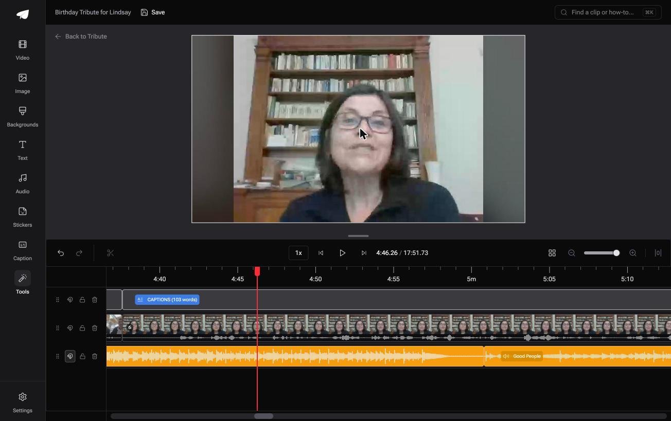 A zoomed in timeline in the Tribute video editor showing the speech waveform and the silence before the first word