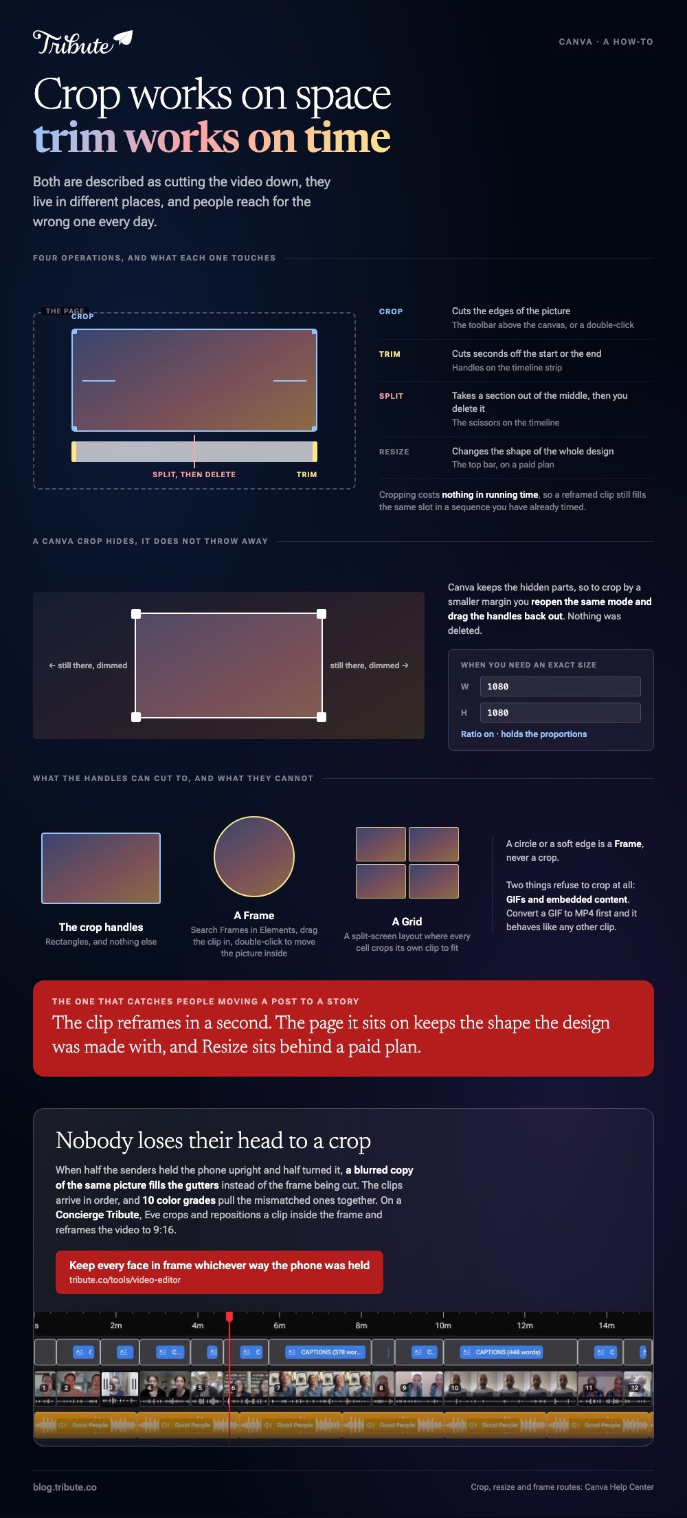 Canva crop video summarised: crop, trim, split and resize drawn on one object so it is clear which touches the picture, which touches time and which touches the page, a crop that dims what it hides rather than deleting it, and what the handles can cut to against what needs a Frame or a Grid