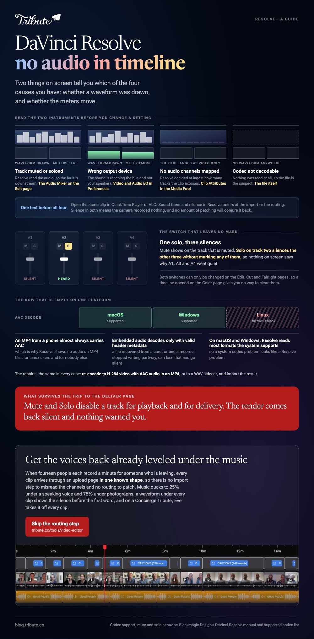 DaVinci Resolve no audio in timeline: the four causes read off two instruments, a drawn waveform and moving meters, the solo on one track that silences three others without marking them, and the AAC decode row that is supported on macOS and Windows and blank on Linux