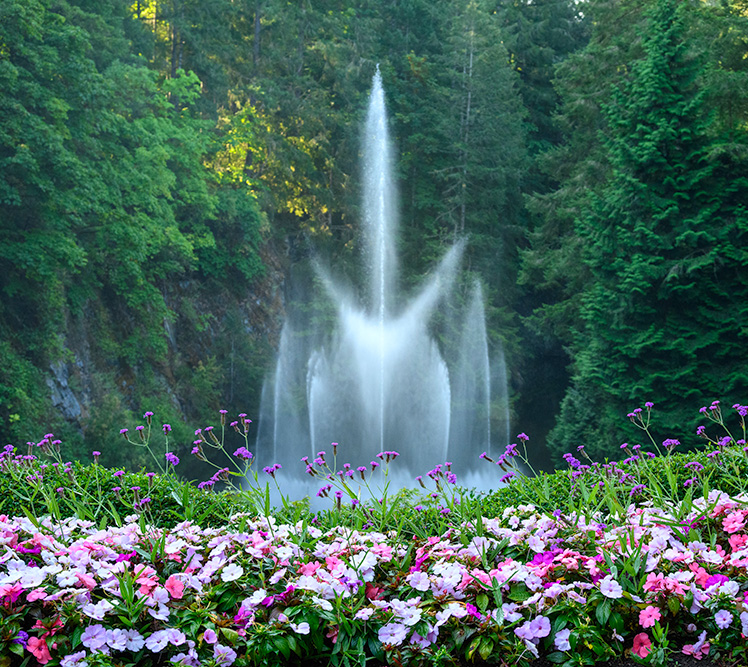 Best Sightseeing Tour Company In Victoria Sightseeing And Travel Agencies