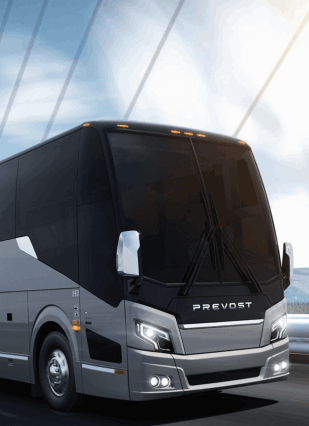 Vancouver Expert Tour Guide