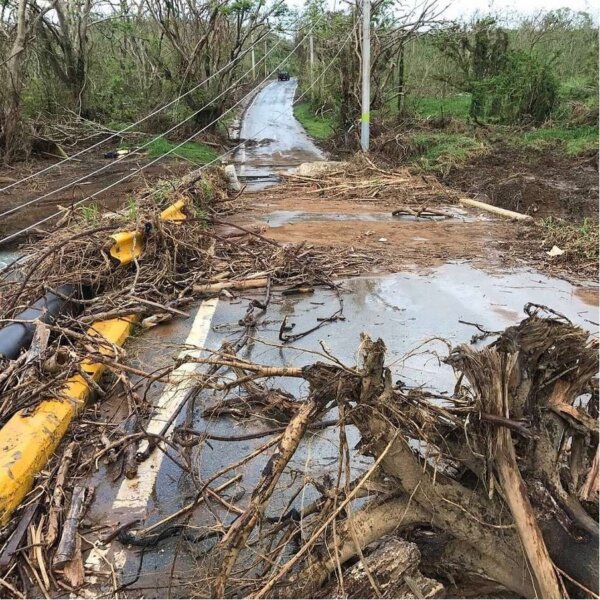 Zdjęcie okładkowe wpisu Andrzej TALARCZYK: Lasy i woda. Próba odpowiedzi