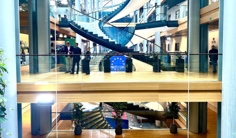 Prof. Zdzisław KRASNODĘBSKI: Mniej Unii, więcej Europy!