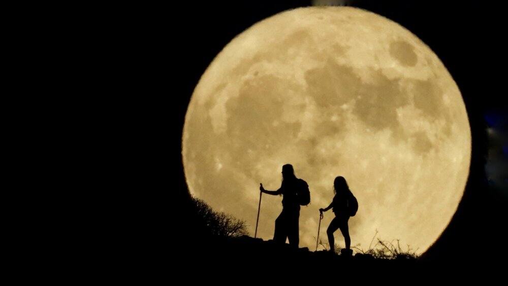 Zdjęcie okładkowe wpisu Karol SAMSEL: Literacki Nobel 2024. Przewidywania