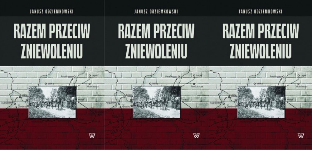 Zdjęcie okładkowe wpisu Prof. Janusz ODZIEMKOWSKI: Początki II Rzeczypospolitej