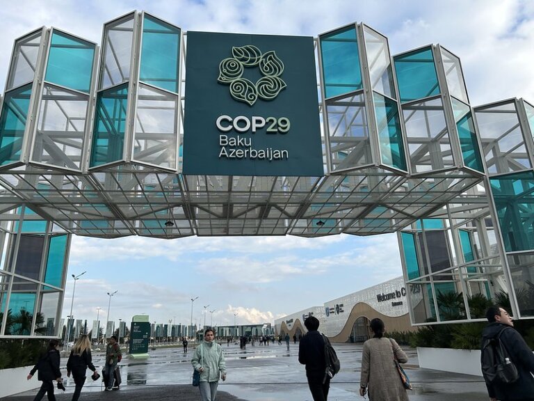COP29