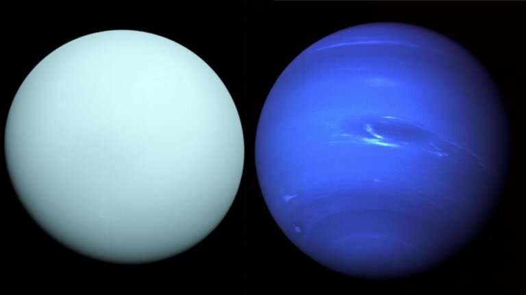 Neptun