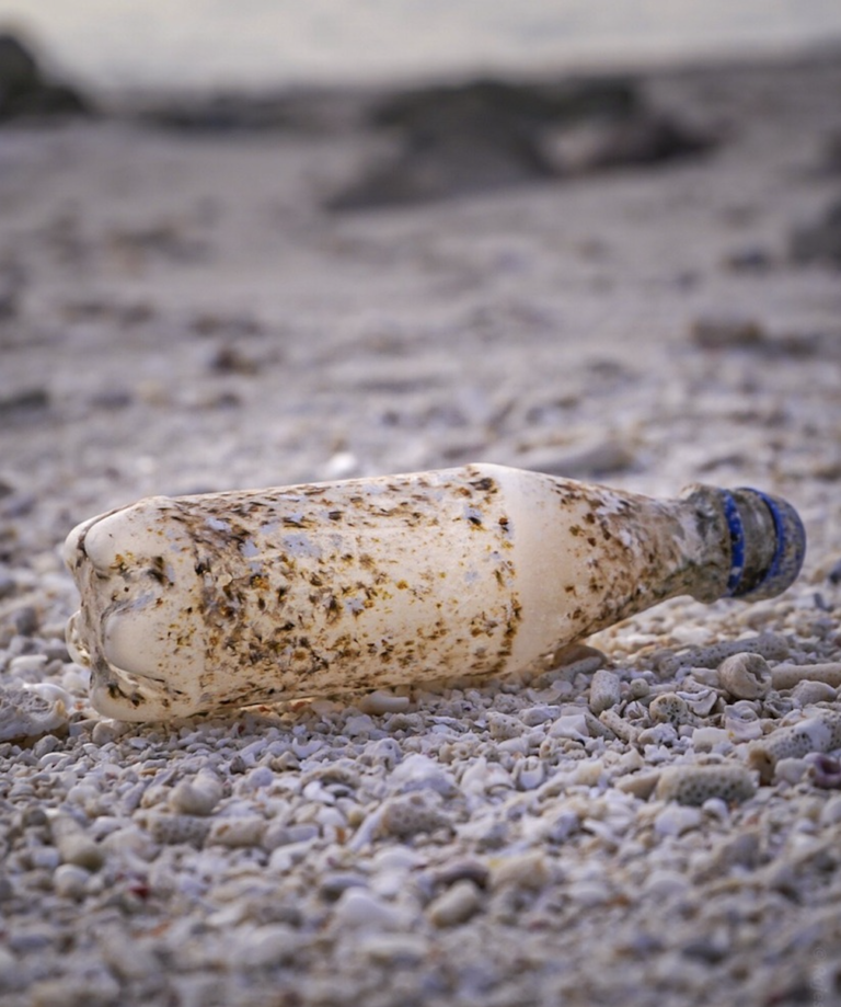 Siedmioletnie badanie pokazało, że Wielka Pacyficzna Plama Śmieci, w rosnącym tempie gromadzi nieduże, centymetrowej wielkości kawałki plastiku pochodzące z różnych części świata. Rośnie więc zagrożenie dla miejscowego ekosystemu i potencjalnie - dla globalnego systemu obiegu węgla.