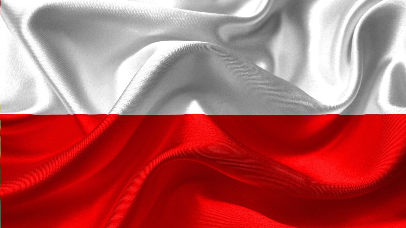 wspólny kandydat wybory prezydenckie 2025 sondaże kto kandyduje w wyborach prezydenckich kandydat PIS