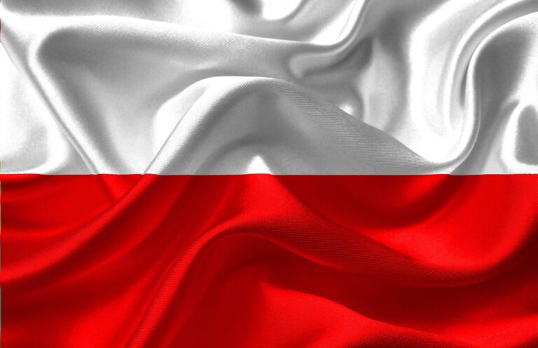 wspólny kandydat wybory prezydenckie 2025 sondaże kto kandyduje w wyborach prezydenckich kandydat PIS
