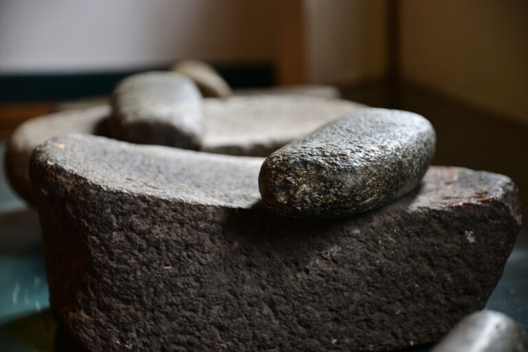 Krypty z pochówkami karmelitów, fragmenty dawnej baszty i kanału odkryli badacze na terenie ogrodu oraz wewnętrznego dziedzińca Muzeum Archeologicznego w Krakowie. Prace wykopaliskowe są związane z trwającą przebudową gmachu.