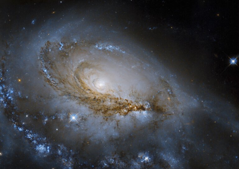 NGC 1961