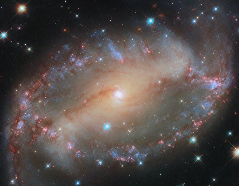 NGC 2566