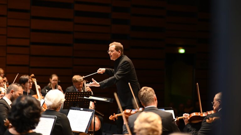promować polską kulturę za granicą koncert