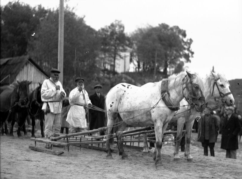 Zdjęcie okładkowe wpisu Piotr MIODUNKA: Kryzysy żywnościowe i klęski głodu. Zapomniane karty historii chłopów