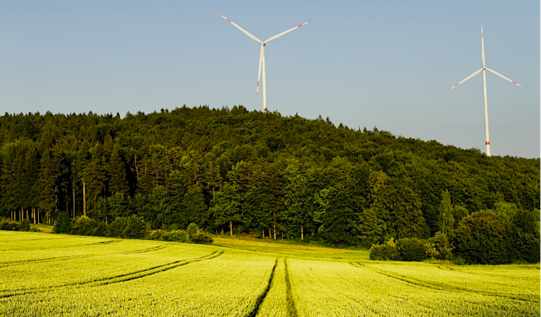Andrzej TALARCZYK: Las wiatraków