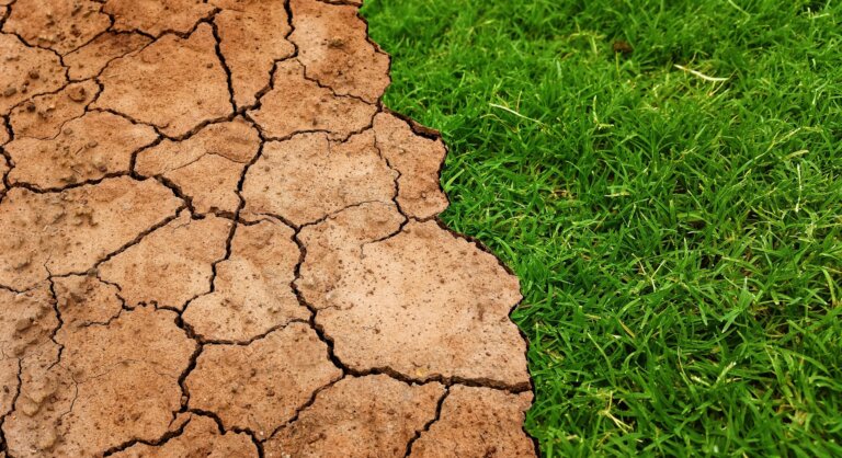 Copernicus Climate Change Service