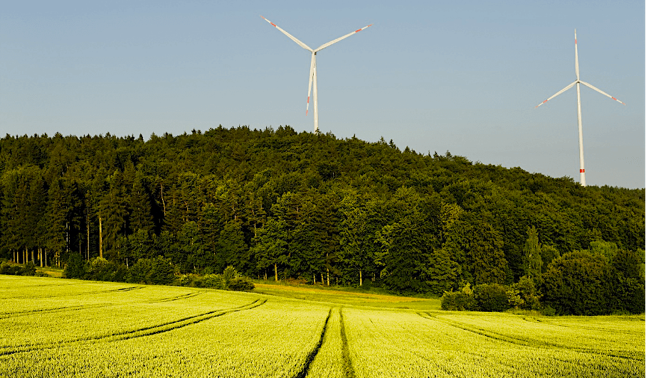 Zdjęcie okładkowe wpisu Andrzej TALARCZYK: Las wiatraków