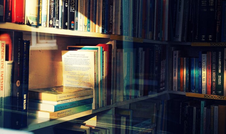 Biblioteka Raczyńskich