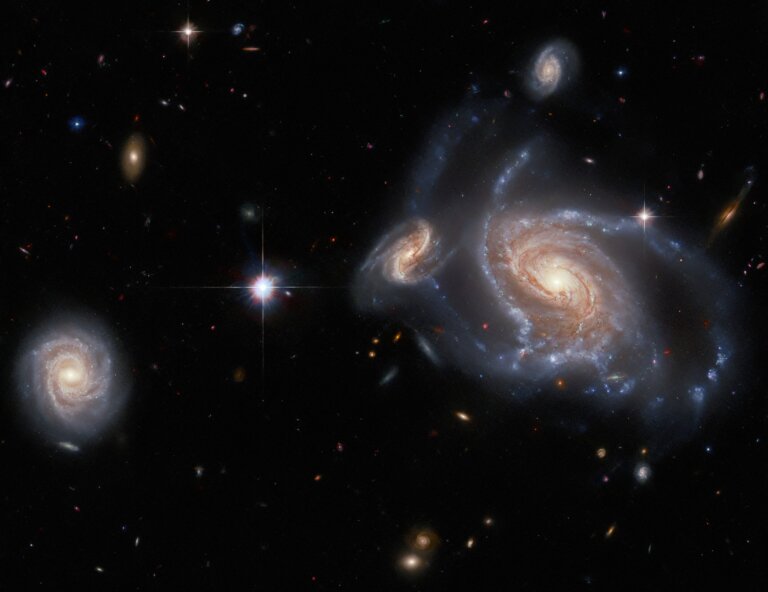 NGC 1356