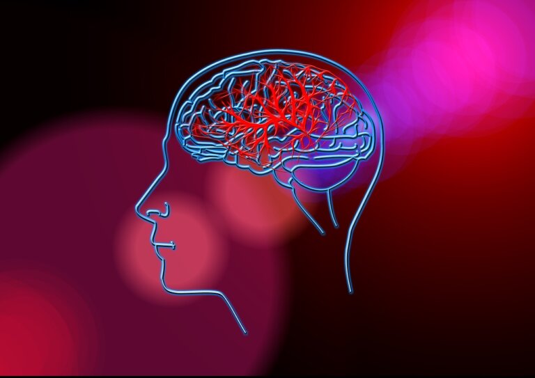 choroby neurologiczne