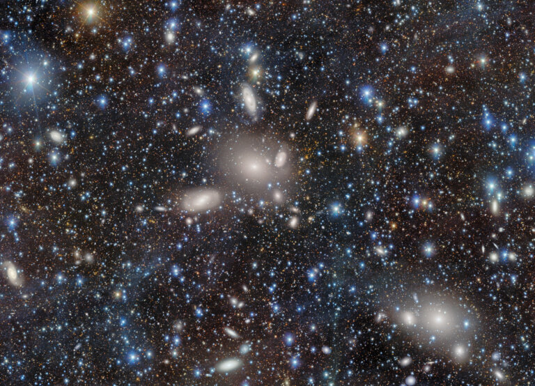 dark energy camera